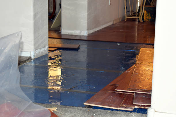 Professional Burst Pipe Cleanup technician working in Livingston, TX